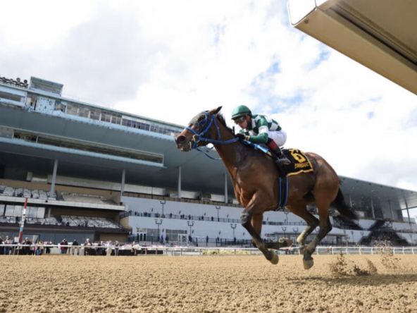 Aqueduct Racetrack