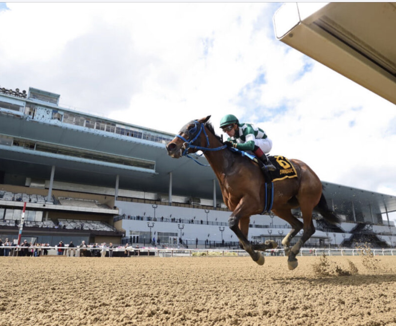 Aqueduct Racetrack